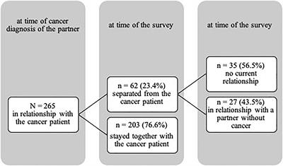 Cancer and Relationship Dissolution: Perspective of Partners of Cancer Patients